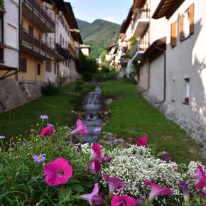 Passeggiata - Rio Maggiore | © APT Valsugana e Lagorai