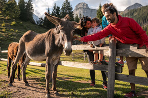 Malga Tovre | © APT Dolomiti di Brenta e Paganella