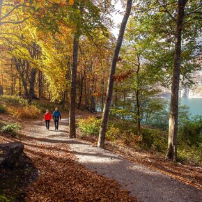 Molvenosee Rundwanderweg | © APT Dolomiti di Brenta e Paganella