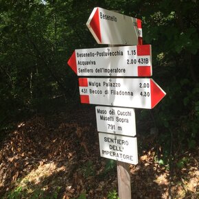 Sentiero dell'Imperatore | © APT Rovereto Vallagarina Monte Baldo