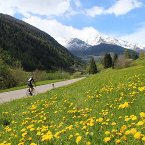 Pejo Fonti | © VisitTrentino