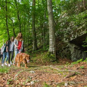 4 - Sentiero dei Faggi – BUCHENPFAD | © Azienda per il Turismo Alpe Cimbra