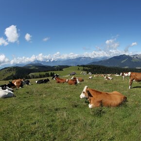 26 - Rundweg Pioverna | © Azienda per il Turismo Alpe Cimbra