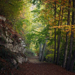 Ronald Jensen | © Azienda per il Turismo Alpe Cimbra