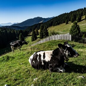 24 - Giro di Val Orsara | © Azienda per il Turismo Alpe Cimbra