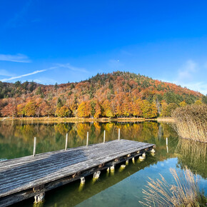 38 - Tour of the lake from Nosellari | © Azienda per il Turismo Alpe Cimbra