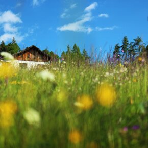 Malghette | © APT Fiemme Cembra