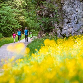 Tra Andalo e Molveno | © APT Dolomiti di Brenta e Paganella