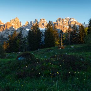 Nei pressi di Pradel | © APT Dolomiti di Brenta e Paganella