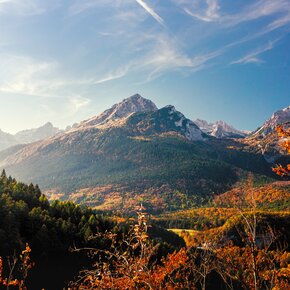 Die Wälder oberhalb von Cavedago | © Visit Paganella