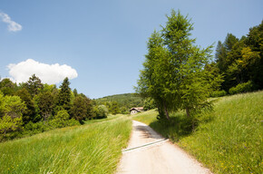 Panorama in località San Giovanni | © Garda Trentino 