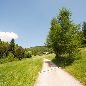 Panorama in località San Giovanni | © Garda Trentino 