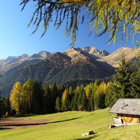 Loop between Rumo and Passo Fresna | © APT Val di Non 