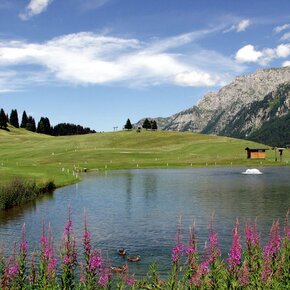 Little lake near the golf course in Campo Carlo Magno | © APT Madonna di Campiglio, Pinzolo, Val Rendena