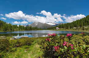 Chiesetta sulle sponde del Lago di San Giuliano | © APT Madonna di Campiglio, Pinzolo, Val Rendena