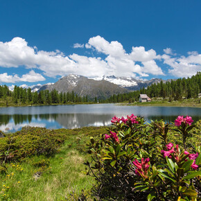 Chiesetta sulle sponde del Lago di San Giuliano | © APT Madonna di Campiglio, Pinzolo, Val Rendena