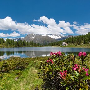 Little church on the shores of Lake San Giuliano | © APT Madonna di Campiglio, Pinzolo, Val Rendena