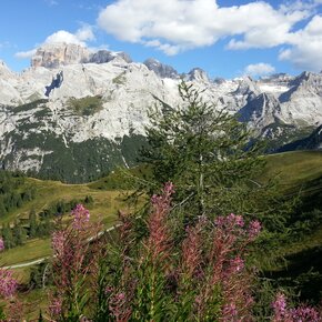 Dolomiti di Brenta dal Doss del sabion | © APT Madonna di Campiglio, Pinzolo, Val Rendena