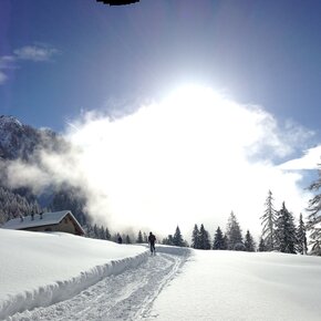 Snowshoe trail - Val Tolvà