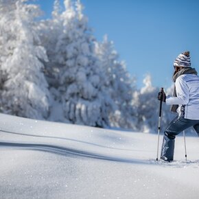 Sentiero ciaspole - Alla Bassa | © APT Valsugana e Lagorai