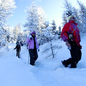 Snowshoeing - Malga Cere | © APT Valsugana e Lagorai