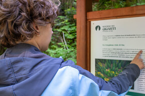 I Giganti del Bosco – The Woods Giants | © Azienda per il Turismo Alpe Cimbra