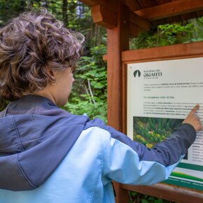 I Giganti del Bosco – The Woods Giants | © Azienda per il Turismo Alpe Cimbra