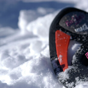 Snowshoeing - On the Roncegno mountain | © APT Valsugana e Lagorai