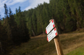 Vertical Ces | © APT San Martino di Castrozza, Primiero e Vanoi