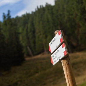 Vertical Ces | © APT San Martino di Castrozza, Primiero e Vanoi