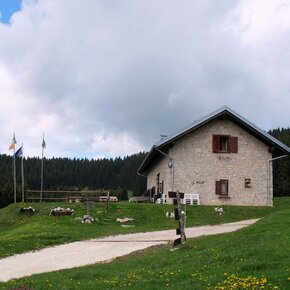 Passeggiata al Rifugio Malga Campo di Luserna | © Azienda per il Turismo Alpe Cimbra