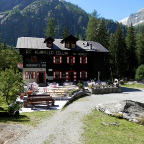 Passeggiata al Rifugio Bedole – Adamello Collini | © APT Madonna di Campiglio, Pinzolo, Val Rendena