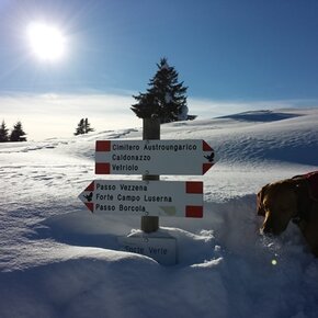 Snowshoeing - The Vezzena plateau | © APT Valsugana e Lagorai