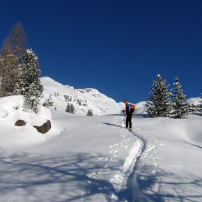 Auf dem Weg | © APT Fiemme Cembra