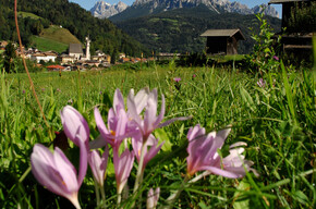 Family Green Way Primiero Tour | © APT San Martino di Castrozza, Primiero e Vanoi