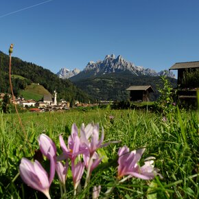 Family Green Way Primiero Tour | © APT San Martino di Castrozza, Primiero e Vanoi