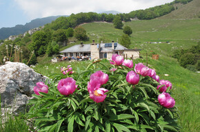 Walk to the Rifugio Fos-Ce | © APT Rovereto Vallagarina Monte Baldo