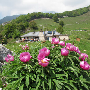 Walk to the Rifugio Fos-Ce | © APT Rovereto Vallagarina Monte Baldo