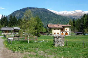 Walk from Rifugio Fazzon to Lago dei Caprioli | © APT Valli di Sole, Peio e Rabbi