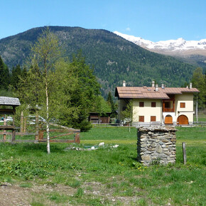 Walk from Rifugio Fazzon to Lago dei Caprioli | © APT Valli di Sole, Peio e Rabbi