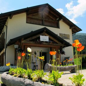 Hike from Rifugio Erterle to Valico della Bassa to Monte Fravort | © APT Valsugana e Lagorai
