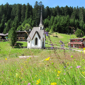 Walk to Monte Vederna – Croce degli Alpini | © VisitTrentino