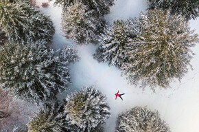 White forest | © APT Dolomiti di Brenta e Paganella