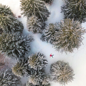 White forest | © APT Dolomiti di Brenta e Paganella