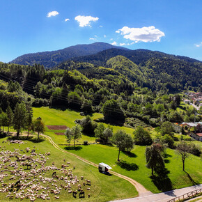 Cavedago | © APT Dolomiti di Brenta e Paganella