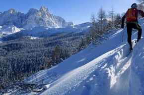 Il bellissimo panorama sulle Pale di San Martino  | © APT Val di Fiemme