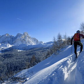 Il bellissimo panorama sulle Pale di San Martino  | © APT Val di Fiemme