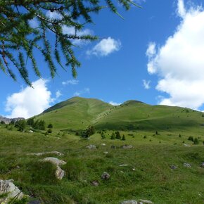 Monte Tonale Orientale | © APT Valli di Sole, Peio e Rabbi