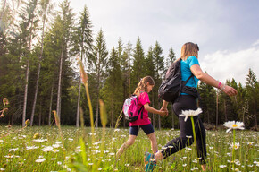 Walking to Tana dell'Ermellino | © APT Dolomiti di Brenta e Paganella