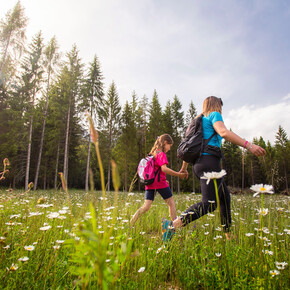 Walking to Tana dell'Ermellino | © APT Dolomiti di Brenta e Paganella